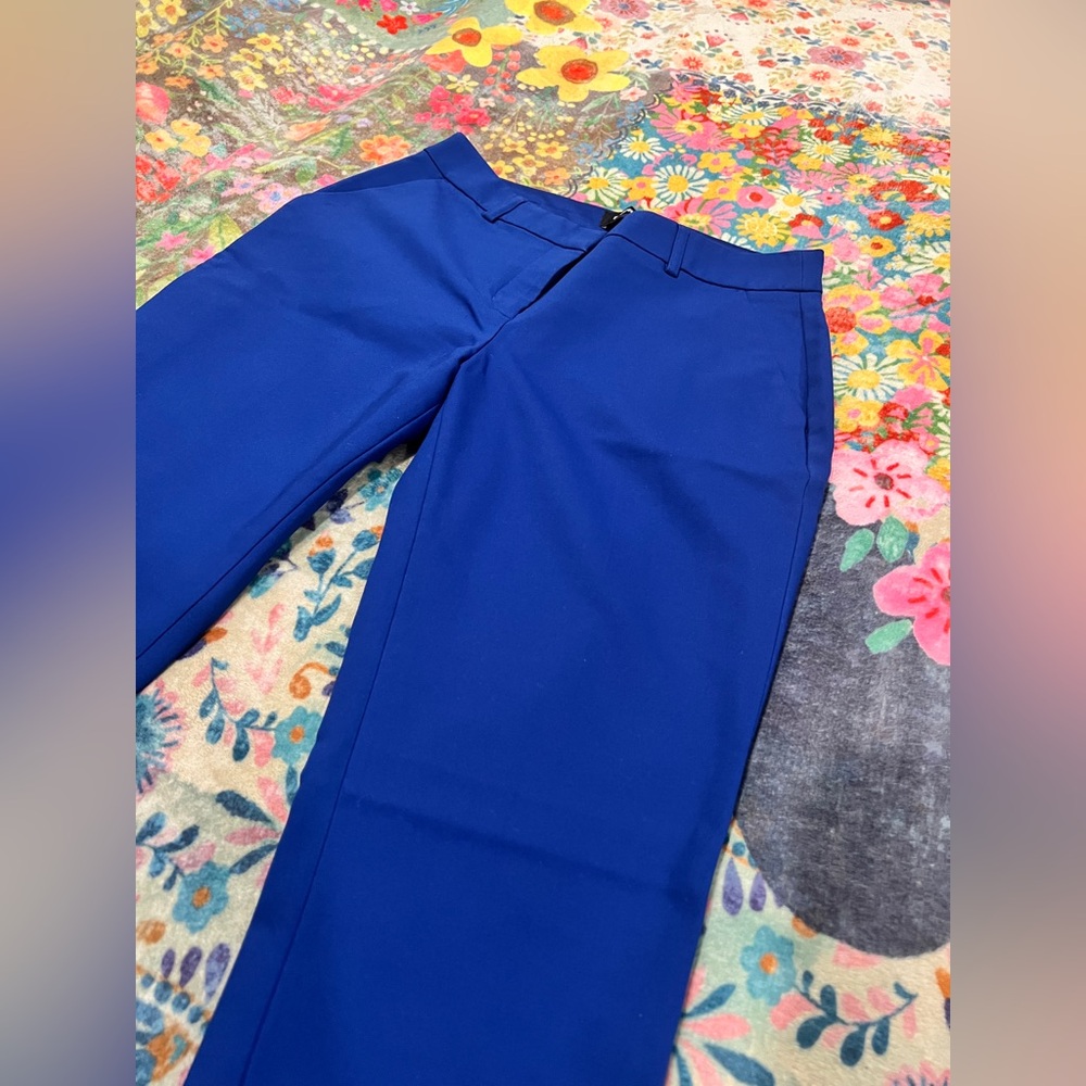 Express Barely Boot Pants in Royal Blue - Picture 4 of 8